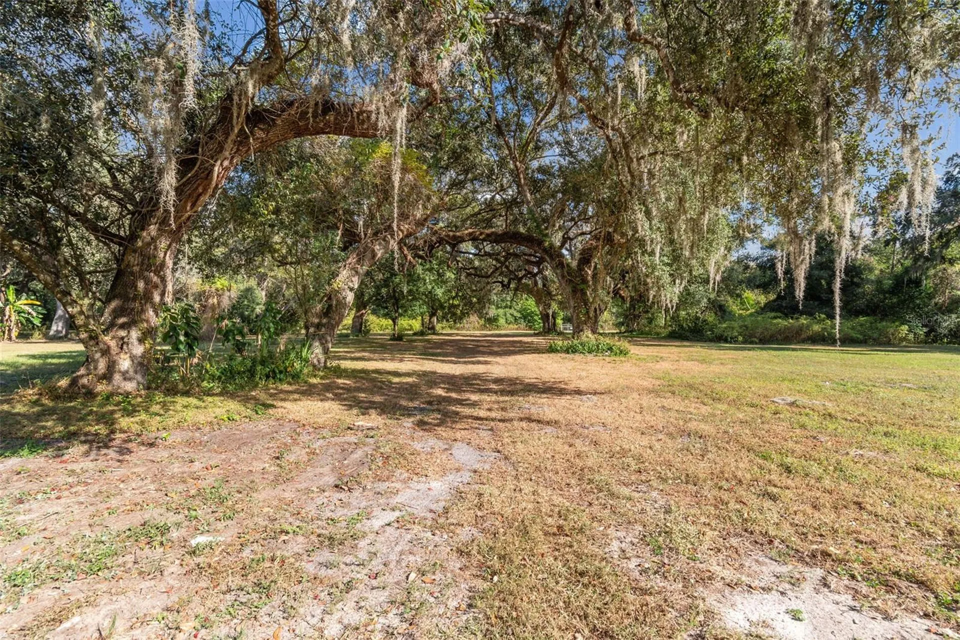 37440 Phelps Road Zephyrhills FL 33541