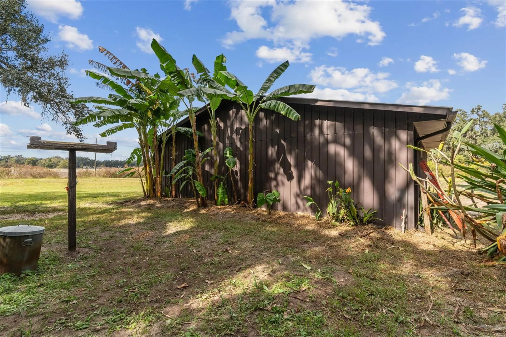 37440 Phelps Road Zephyrhills FL 33541