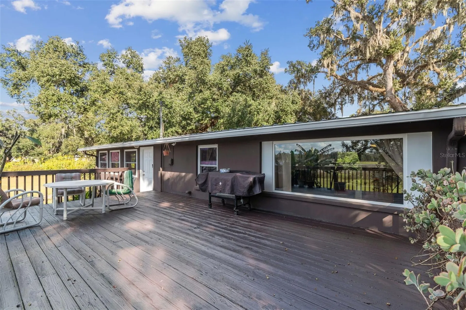37440 Phelps Road Zephyrhills FL 33541