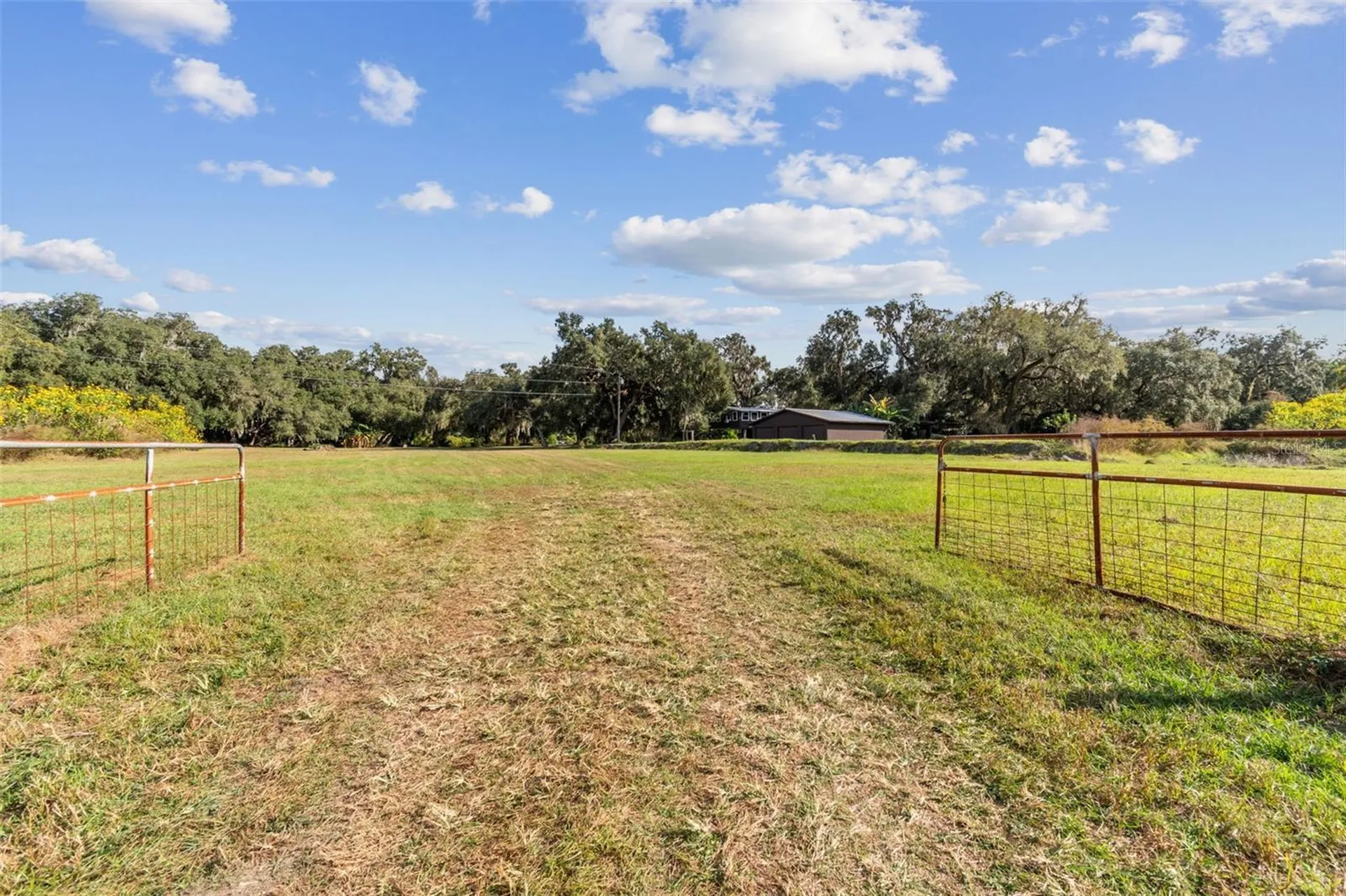 37440 Phelps Road Zephyrhills FL 33541