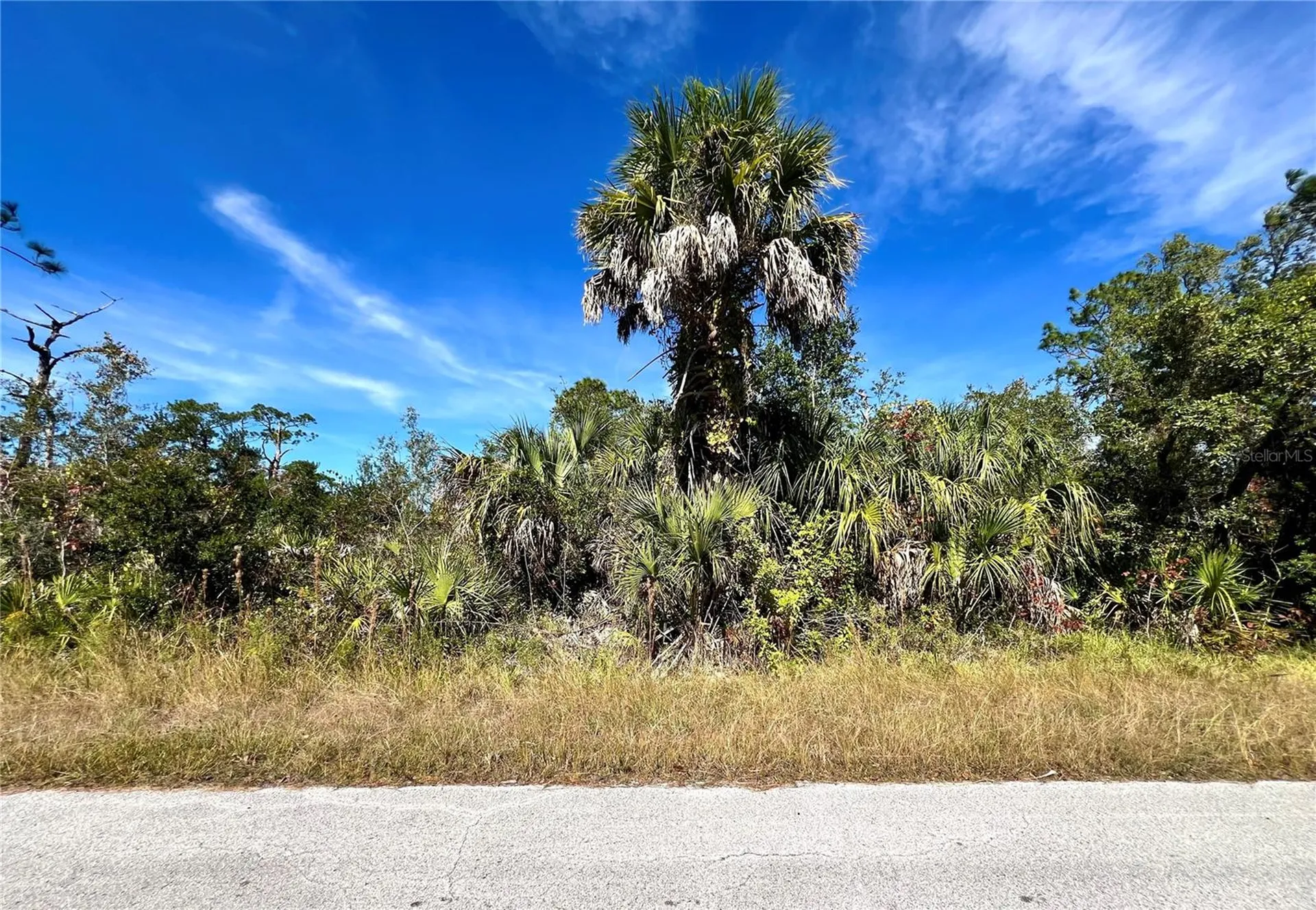 Lot 8 Detroit Avenue Hudson FL 34667