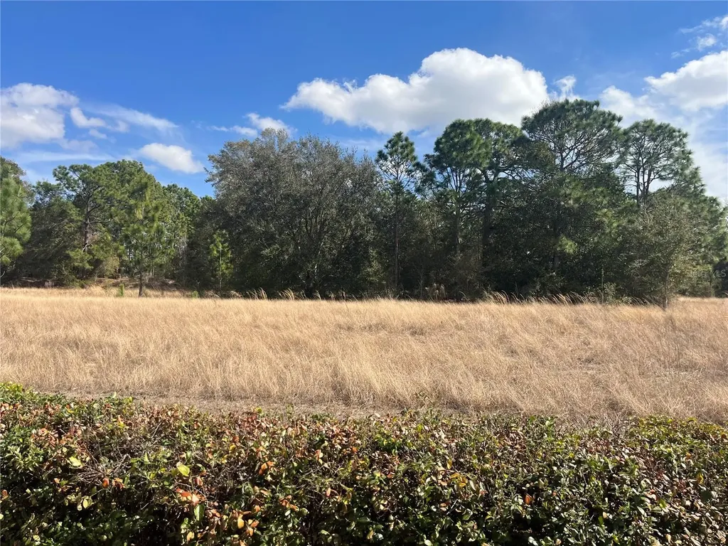 13235 SE 97th Terrace Road Summerfield FL 34491