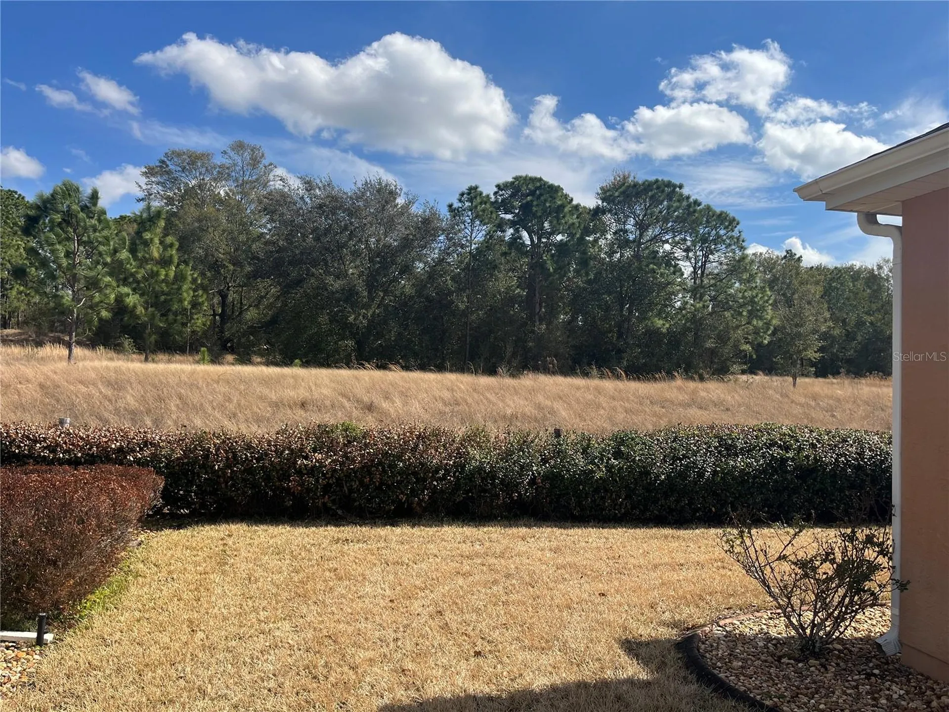 13235 SE 97th Terrace Road Summerfield FL 34491