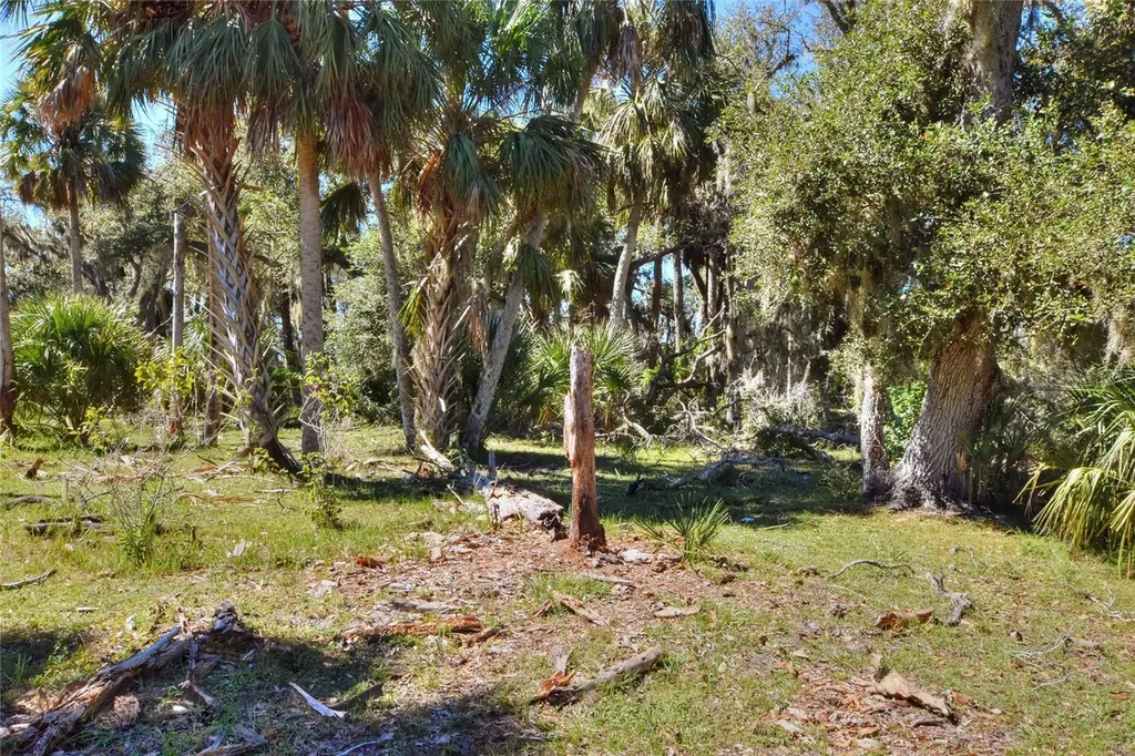 46891 Farabee Road Punta Gorda FL 33982