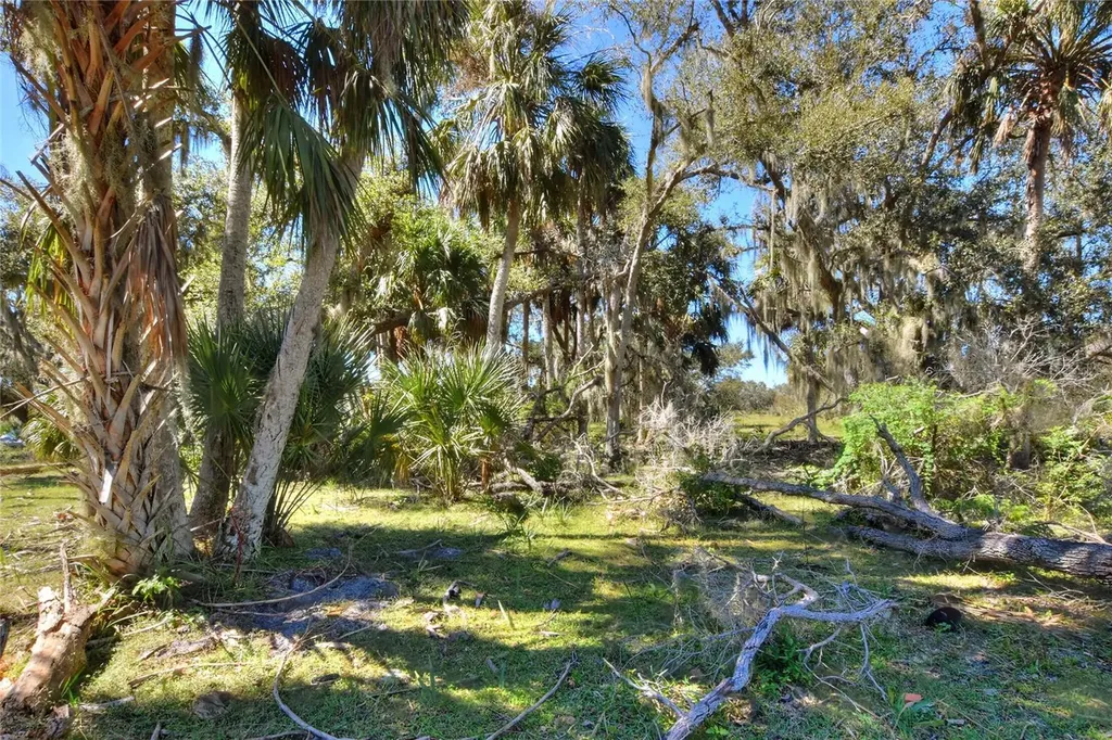 46891 Farabee Road Punta Gorda FL 33982