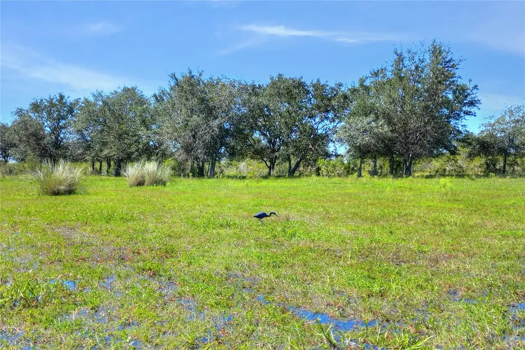 46891 Farabee Road Punta Gorda FL 33982