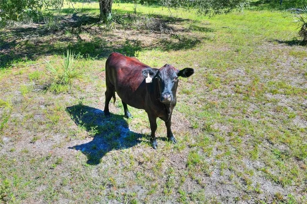 46891 Farabee Road Punta Gorda FL 33982