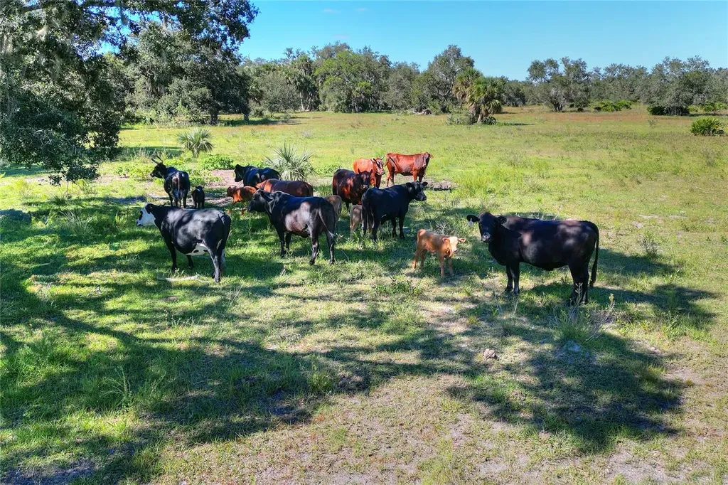 46891 Farabee Road Punta Gorda FL 33982