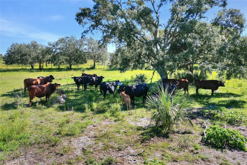 46891 Farabee Road Punta Gorda FL 33982