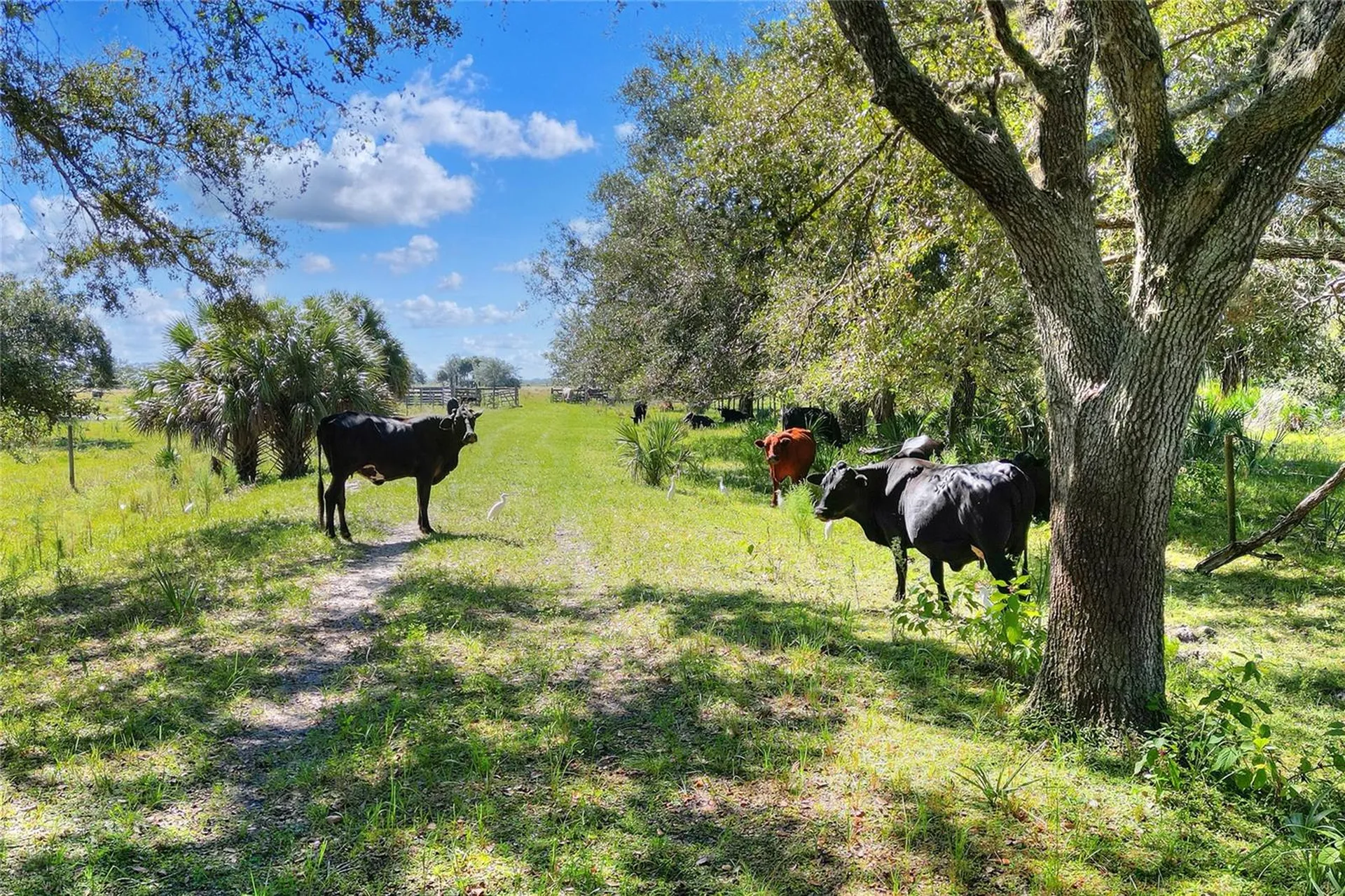 46891 Farabee Road Punta Gorda FL 33982