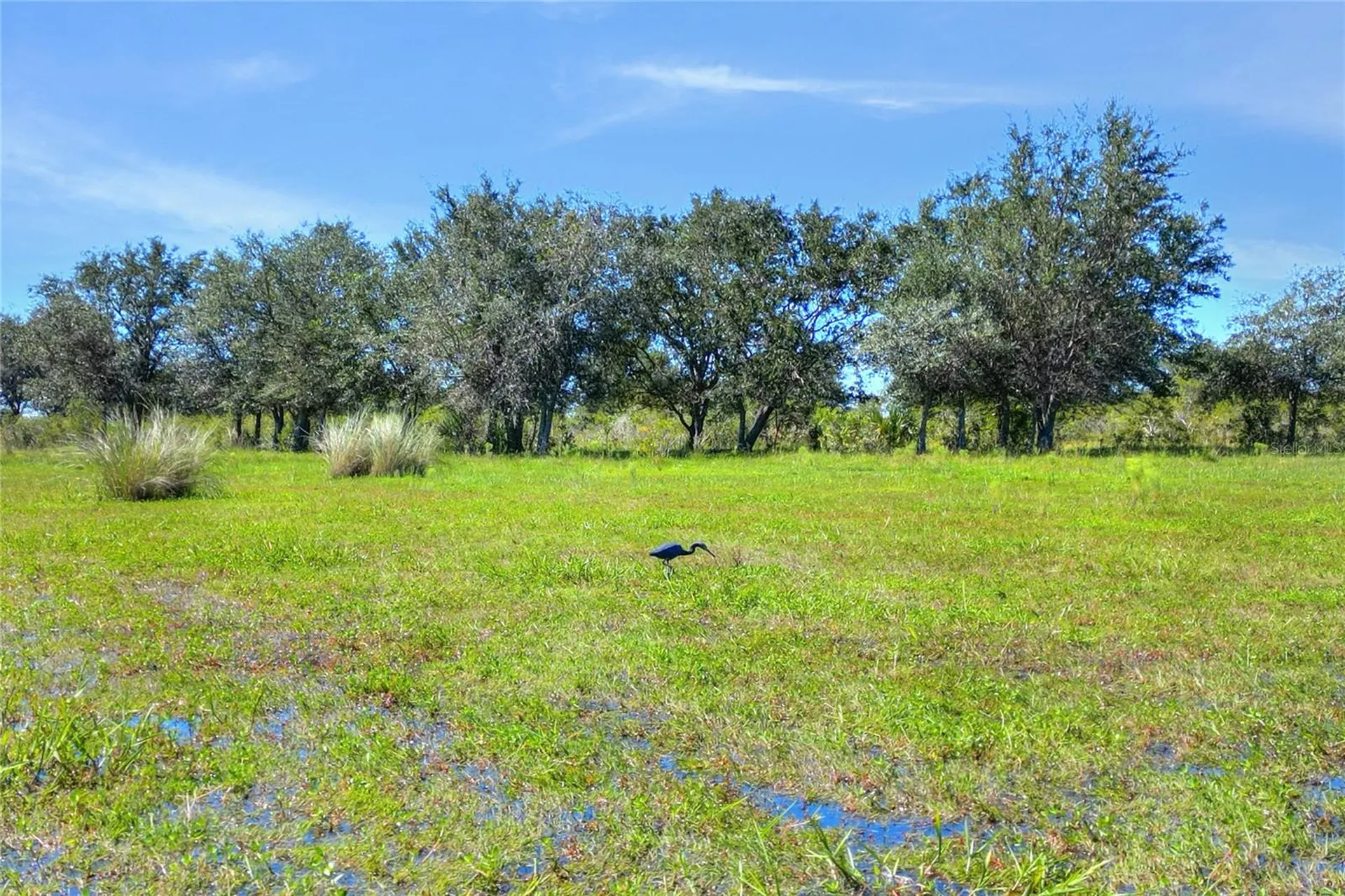 46891 Farabee Road Punta Gorda FL 33982
