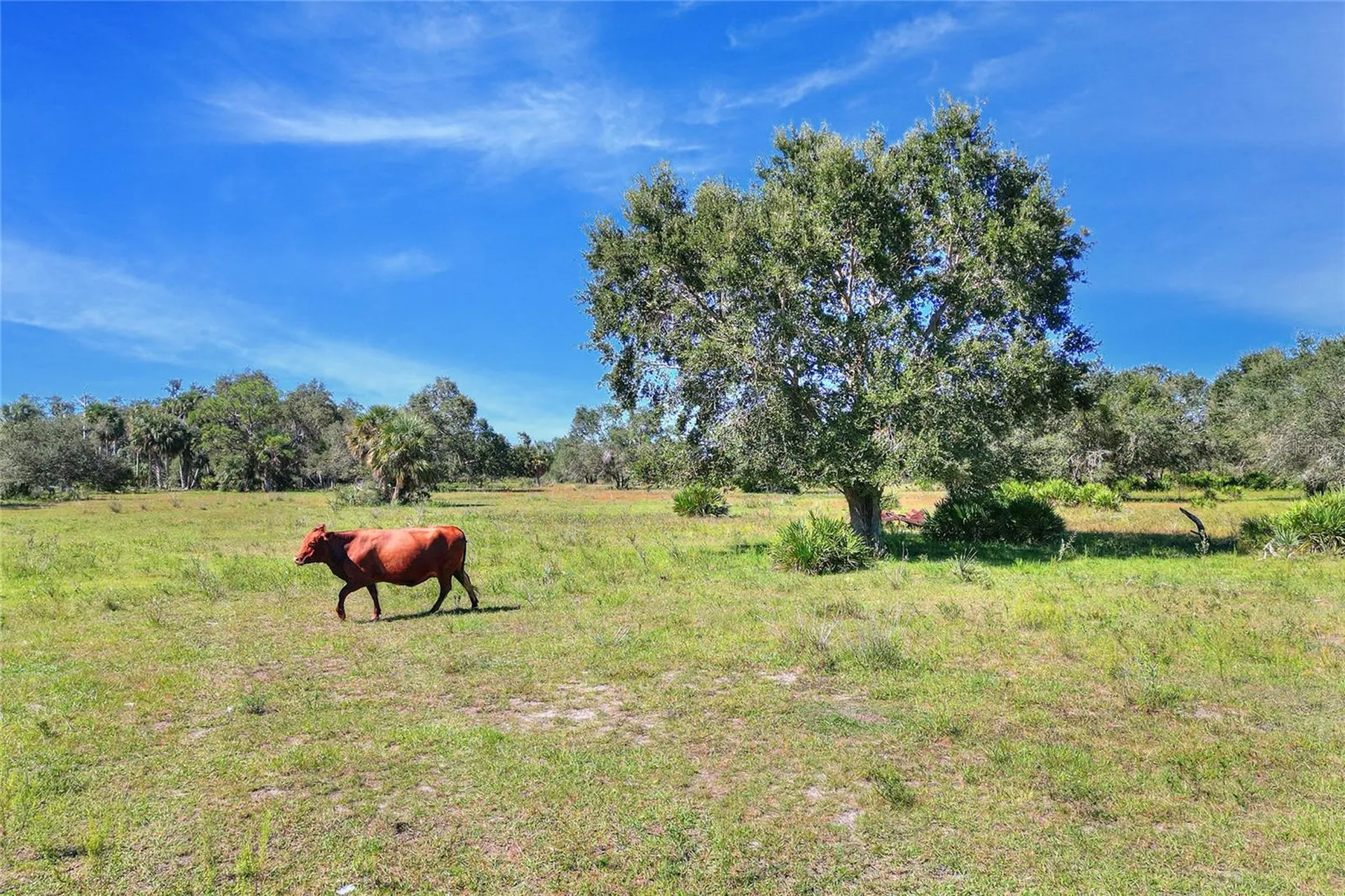 46891 Farabee Road Punta Gorda FL 33982
