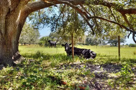 46891 Farabee Road Punta Gorda FL 33982