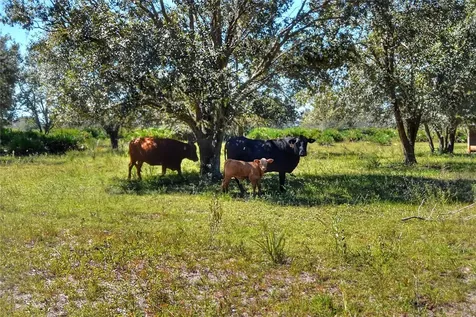 46891 Farabee Road Punta Gorda FL 33982