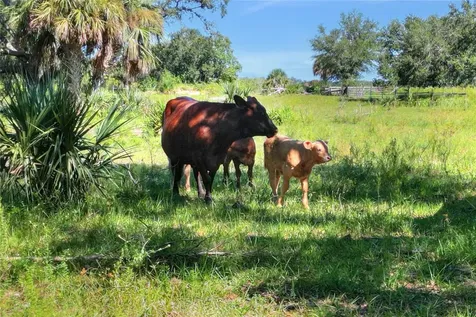 46891 Farabee Road Punta Gorda FL 33982