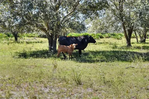 46891 Farabee Road Punta Gorda FL 33982