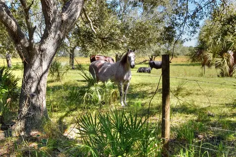 46891 Farabee Road Punta Gorda FL 33982