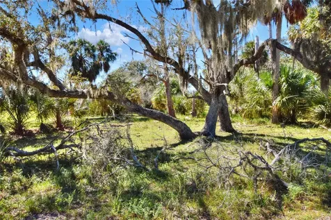 46891 Farabee Road Punta Gorda FL 33982