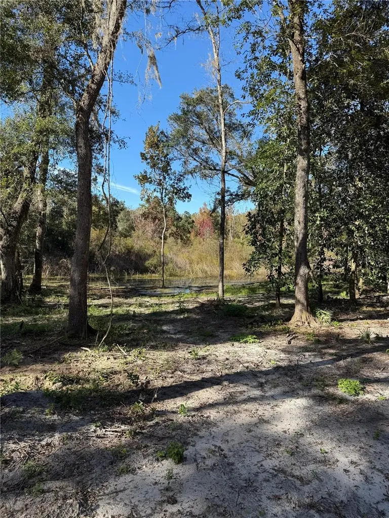 7TH Place Ocala FL 34482
