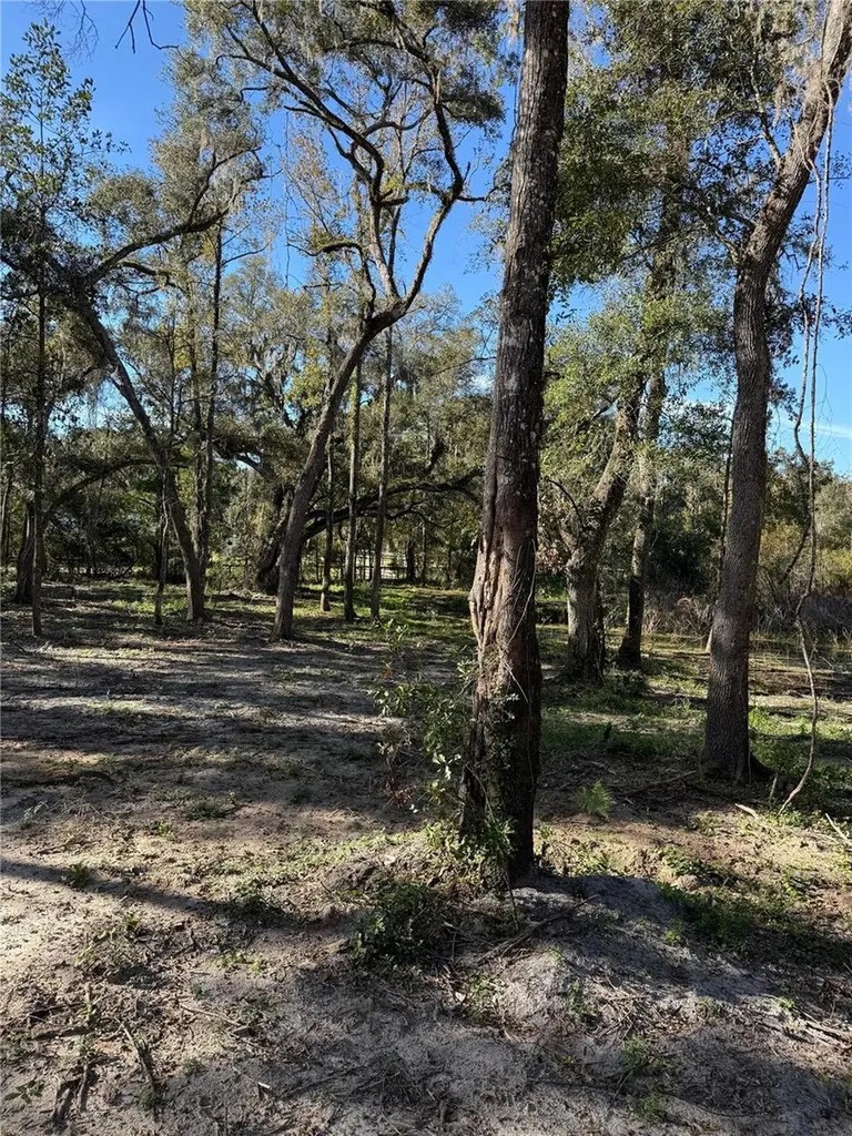 7TH Place Ocala FL 34482