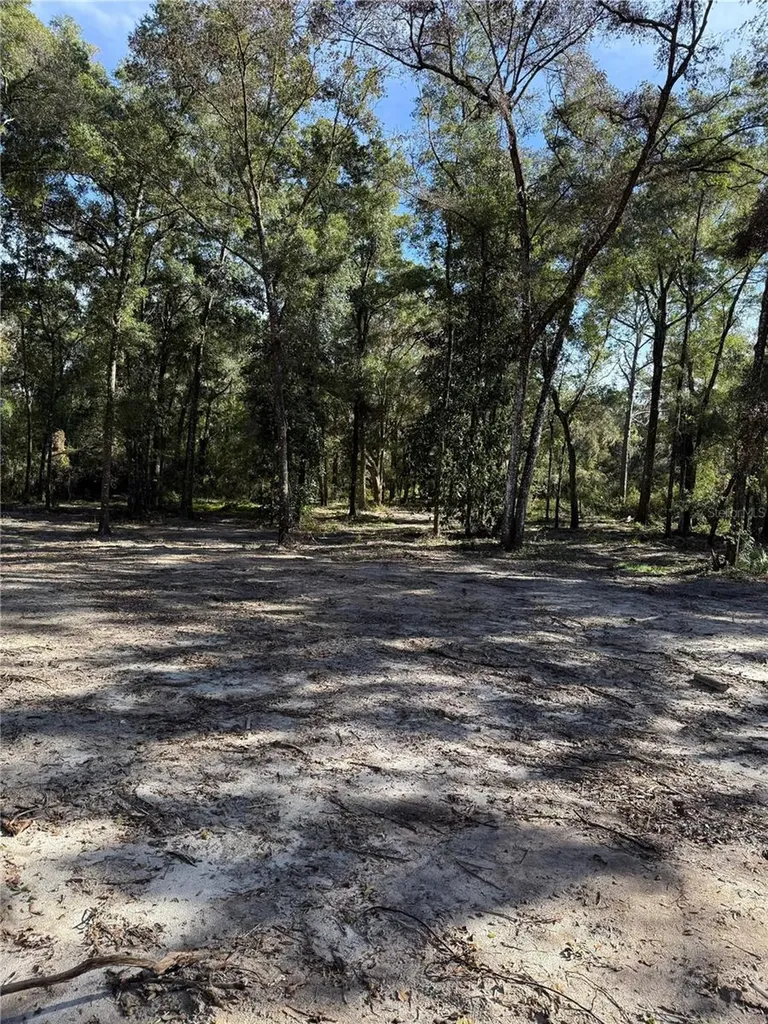 7TH Place Ocala FL 34482