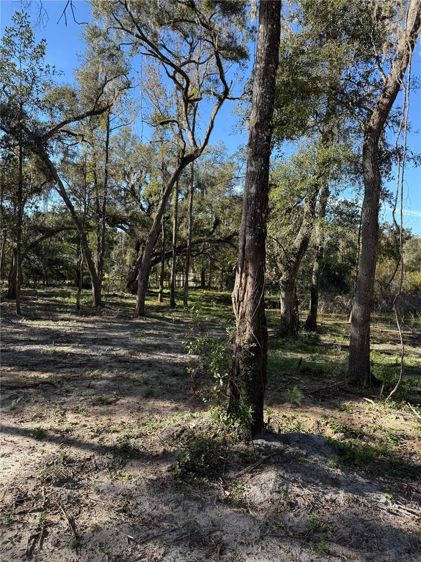 7TH Place Ocala FL 34482