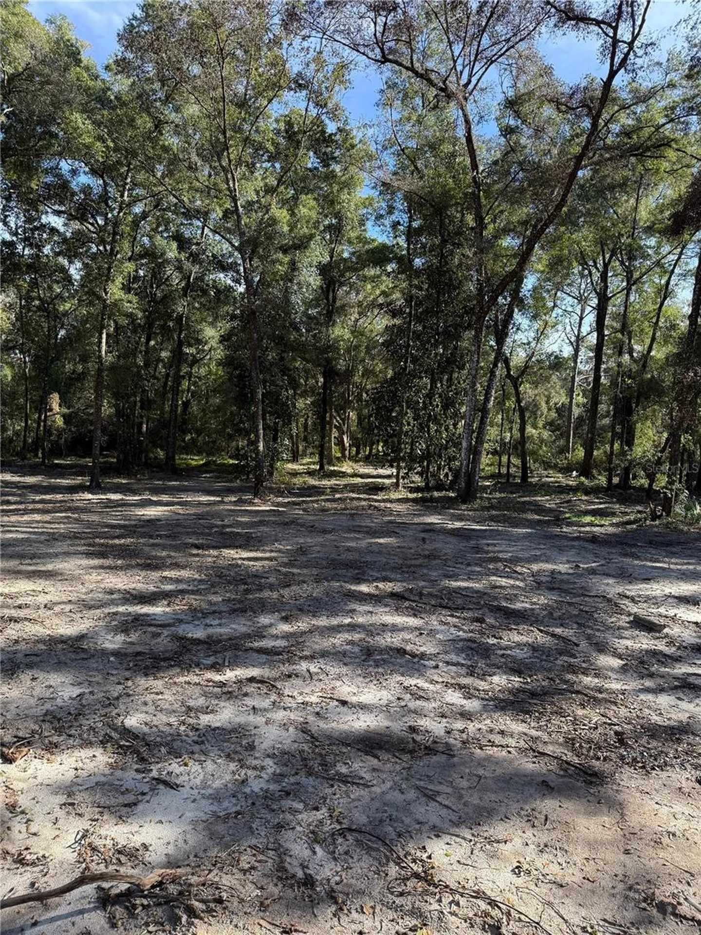 7TH Place Ocala FL 34482