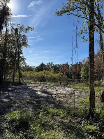 7TH Place Ocala FL 34482