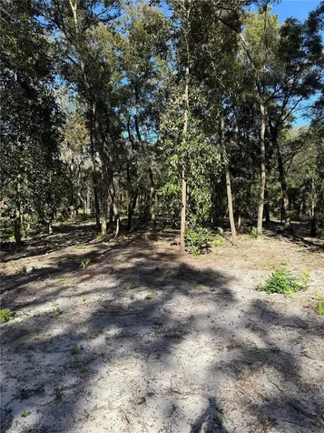 7TH Place Ocala FL 34482