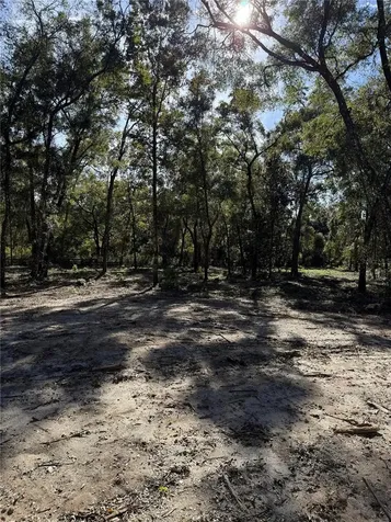 7TH Place Ocala FL 34482