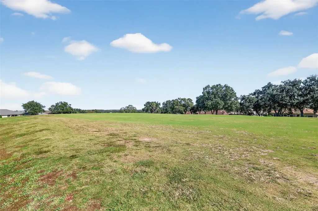 21202 Braveheart Drive Leesburg FL 34748