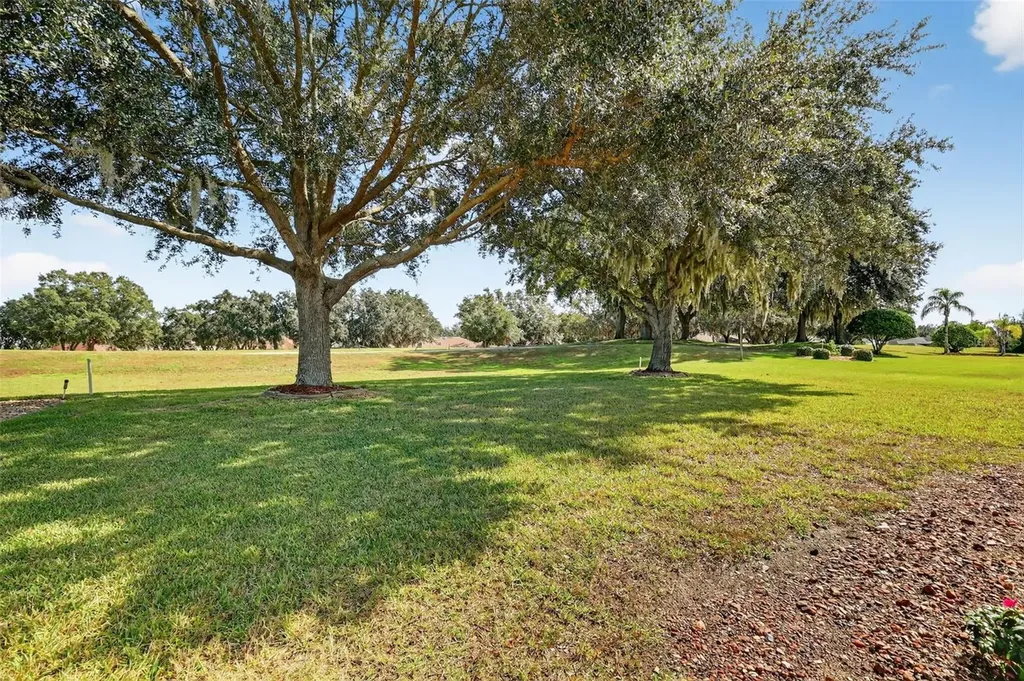 21202 Braveheart Drive Leesburg FL 34748