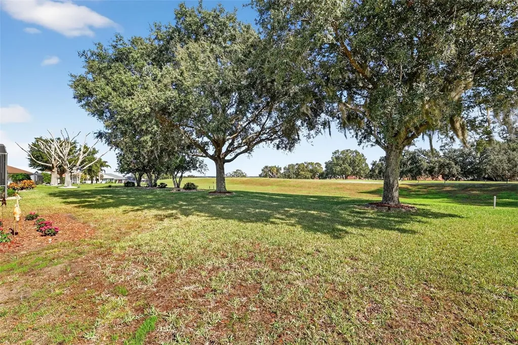 21202 Braveheart Drive Leesburg FL 34748