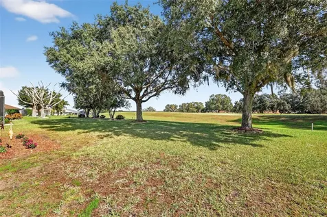 21202 Braveheart Drive Leesburg FL 34748
