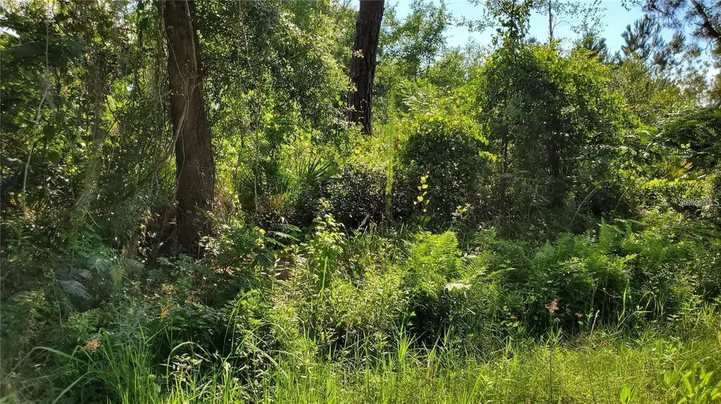 Bowfin Drive Satsuma FL 32189
