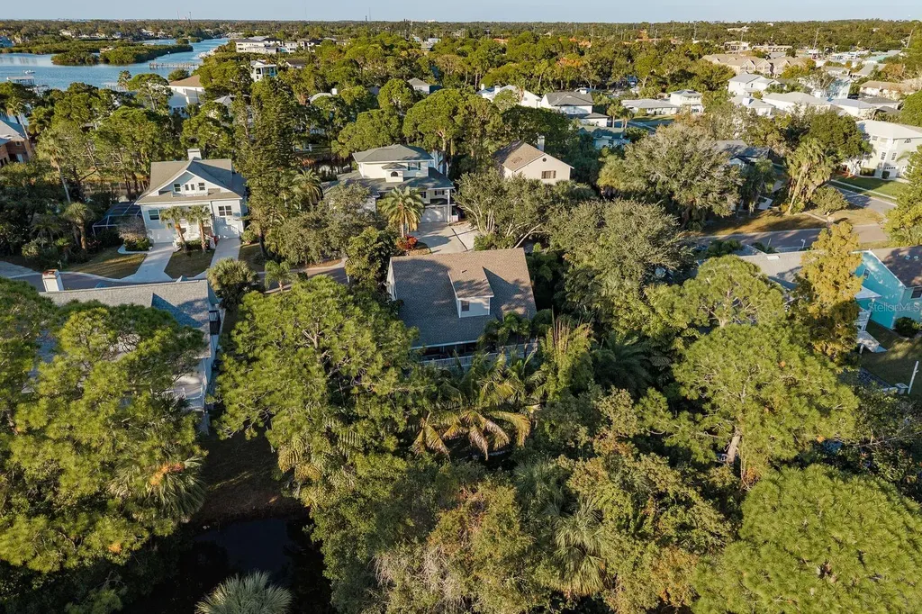 758 Claudia Palm Harbor FL 34683