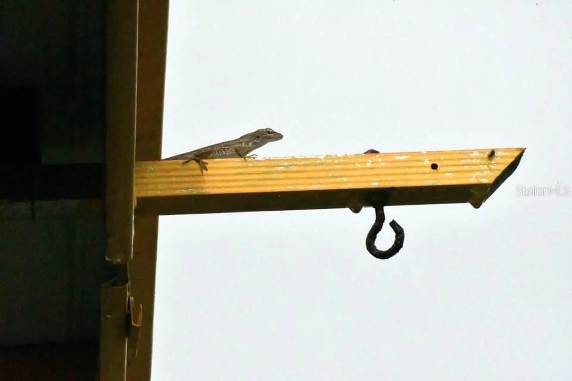 7353 Banner Street New Port Richey FL 34653