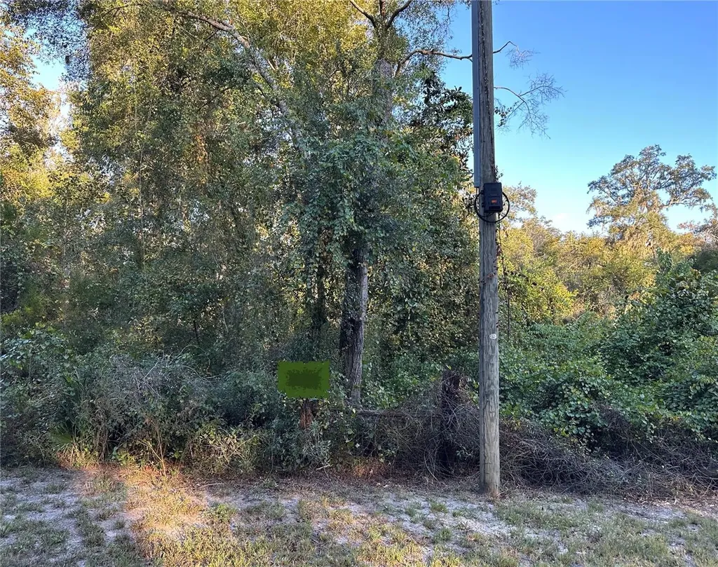 Ooo SE 923rd Street Old Town FL 32680