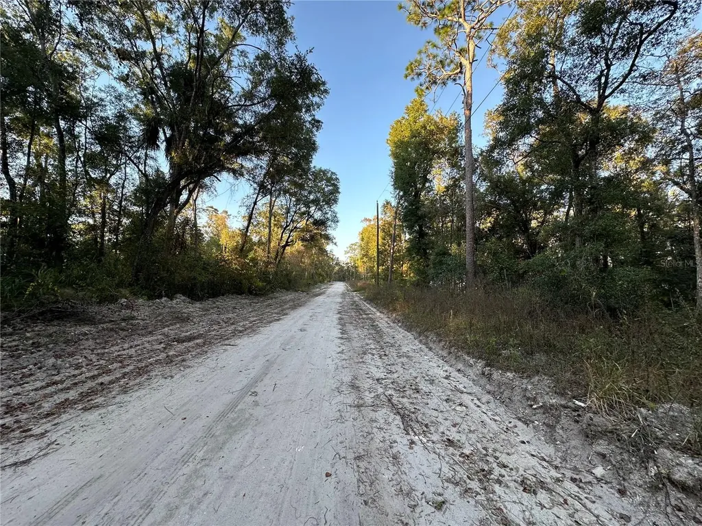 Ooo SE 923rd Street Old Town FL 32680