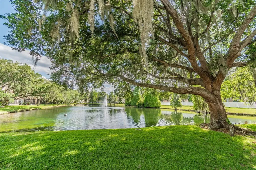 3616 Pine Knot Drive Valrico FL 33596