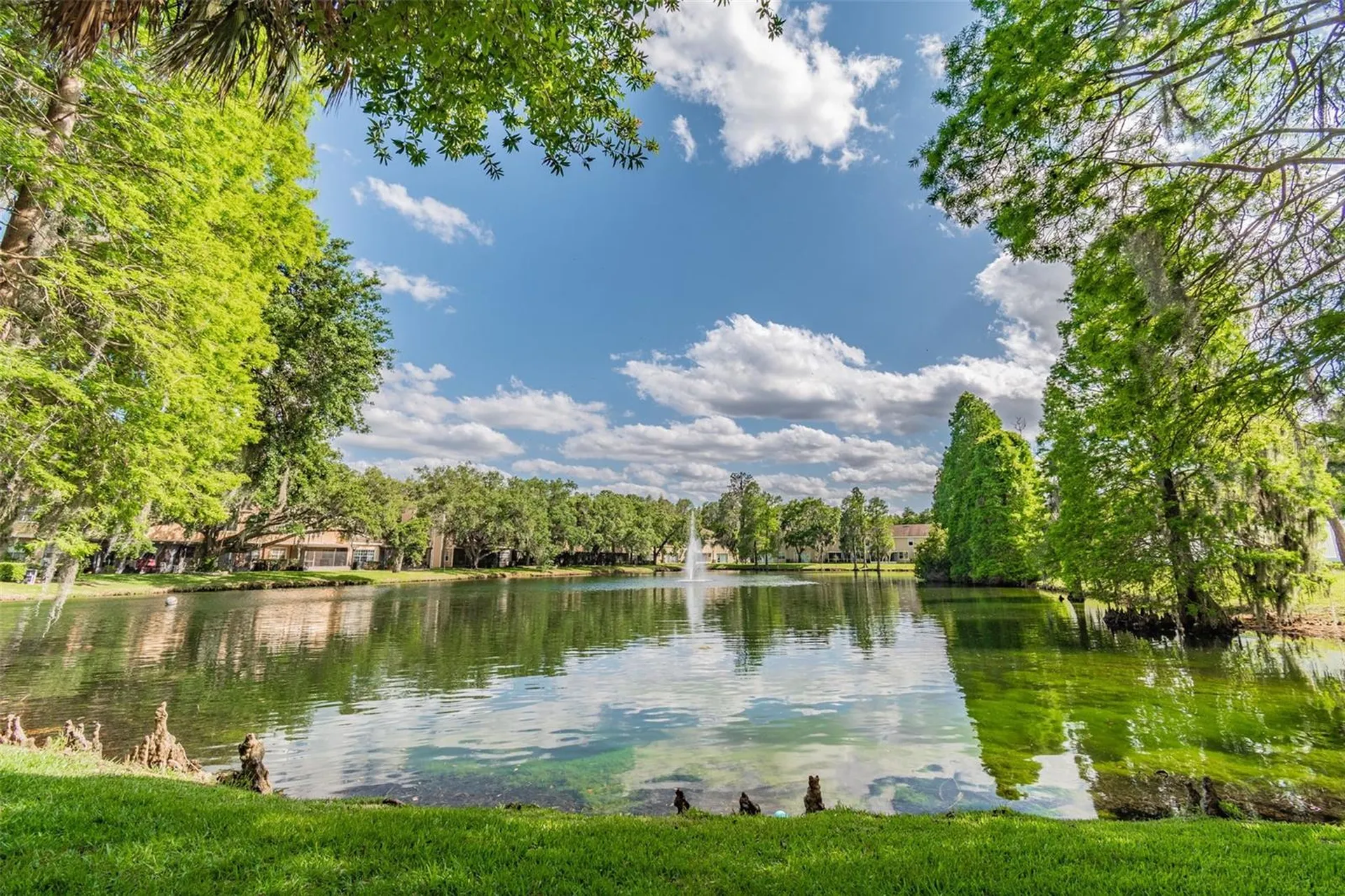 3616 Pine Knot Drive Valrico FL 33596