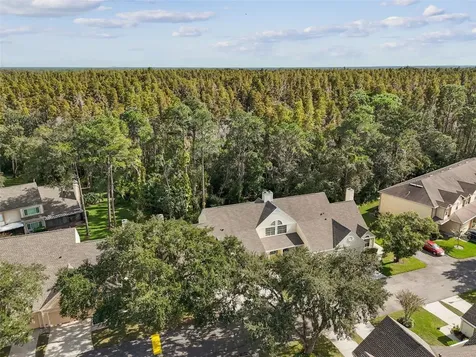 3616 Pine Knot Drive Valrico FL 33596