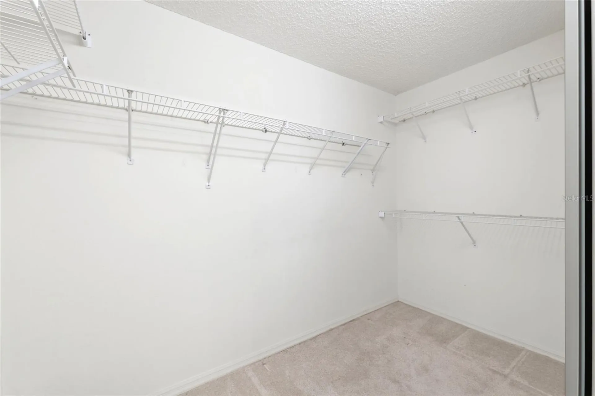 5301 El Cerro Drive New Port Richey FL 34655
