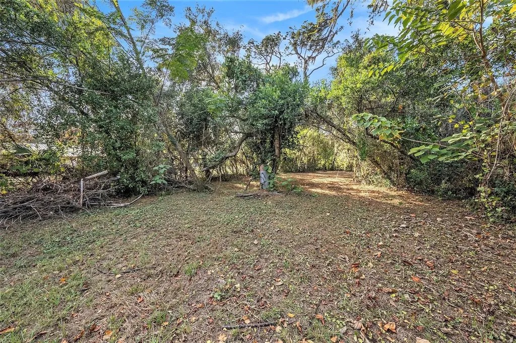11720 Williams Road Thonotosassa FL 33592