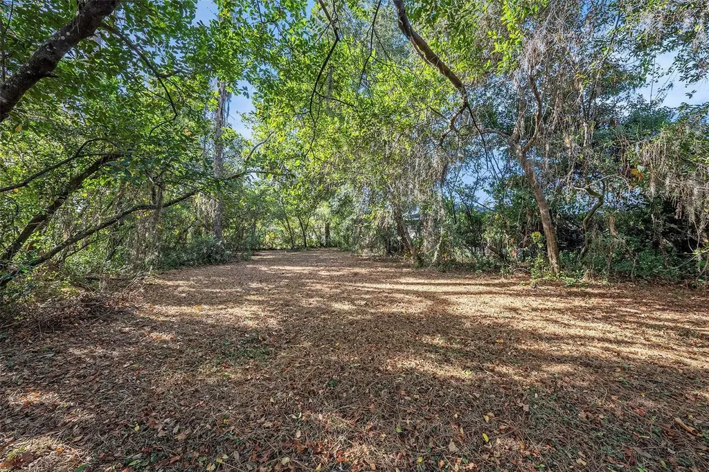 11720 Williams Road Thonotosassa FL 33592