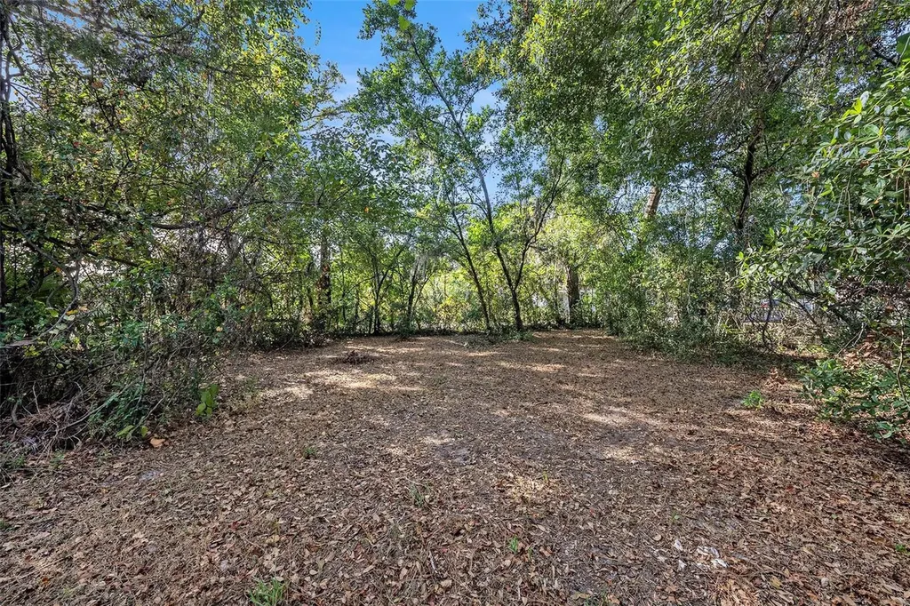 11720 Williams Road Thonotosassa FL 33592