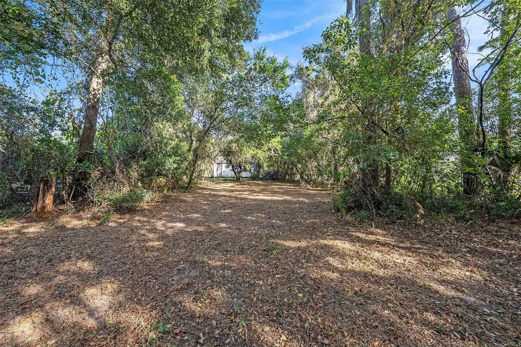 11720 Williams Road Thonotosassa FL 33592