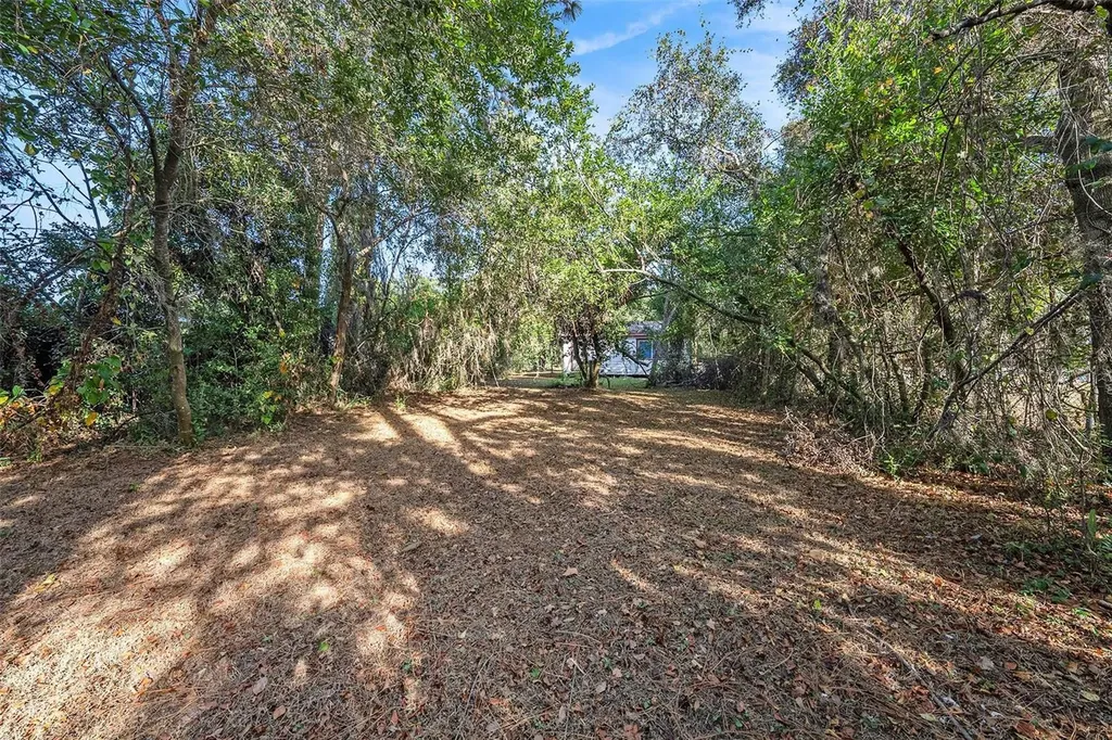 11720 Williams Road Thonotosassa FL 33592