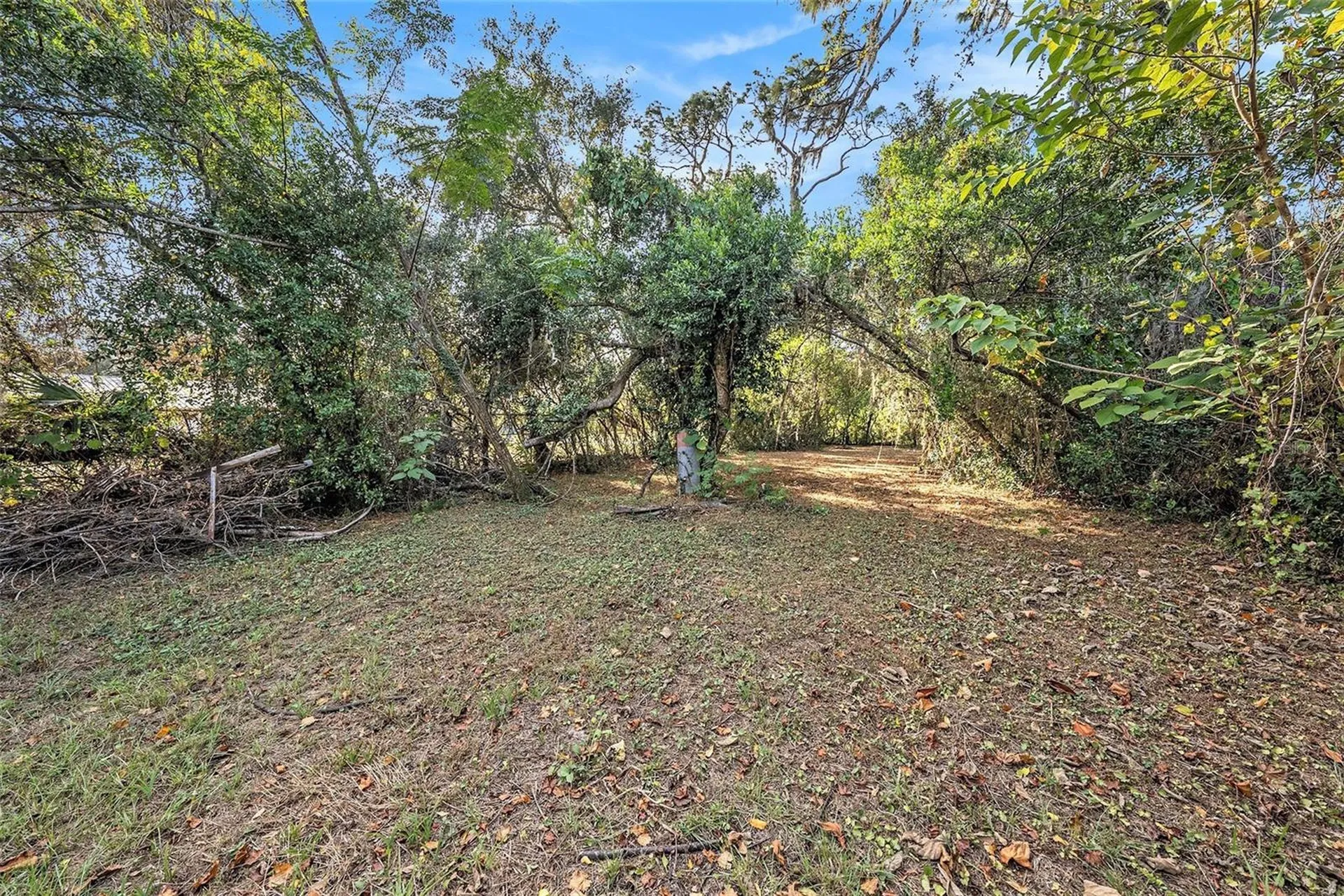 11720 Williams Road Thonotosassa FL 33592
