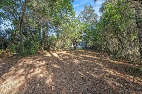 11720 Williams Road Thonotosassa FL 33592